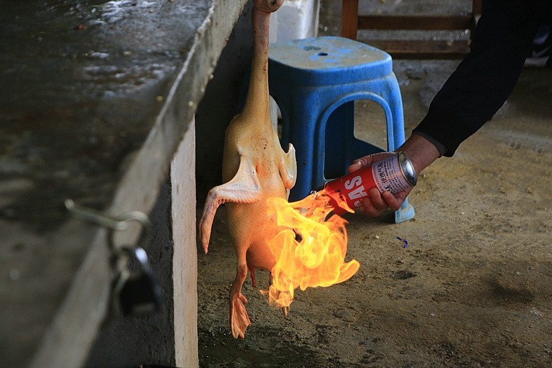 518【不老松：海南游摄纪实】临高县昌拱村小小菜市场!脱毛的鸭子为什么还用火烧？