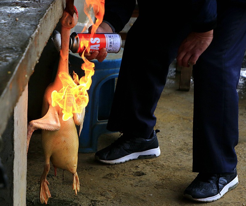 518【不老松：海南游摄纪实】临高县昌拱村小小菜市场!脱毛的鸭子为什么还用火烧？