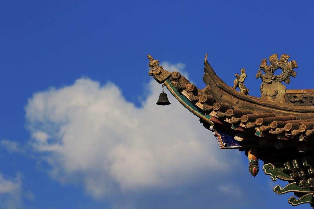 7D2与大白是绝配！