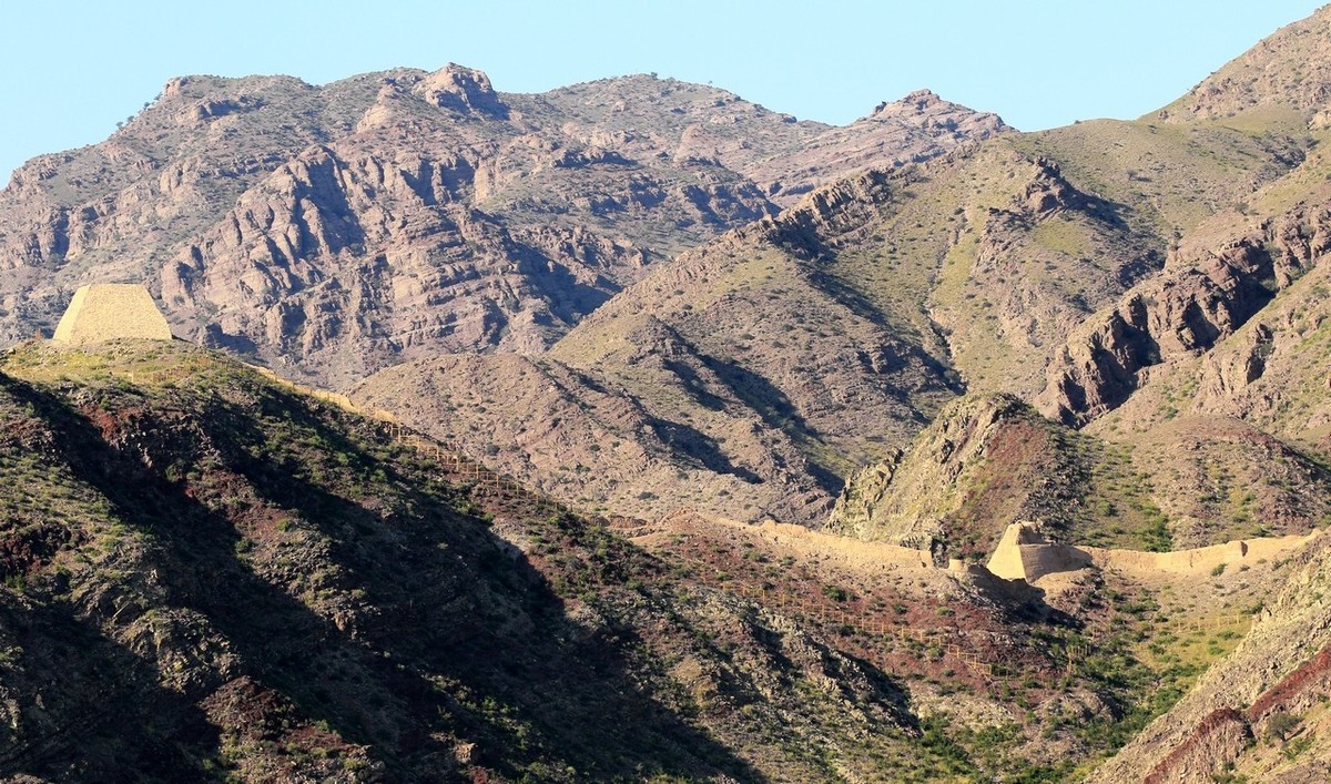 7D2与大白是绝配！