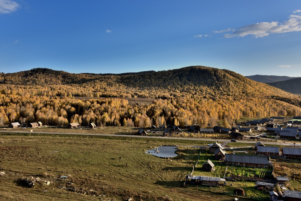 初秋北疆行——禾木村【8】