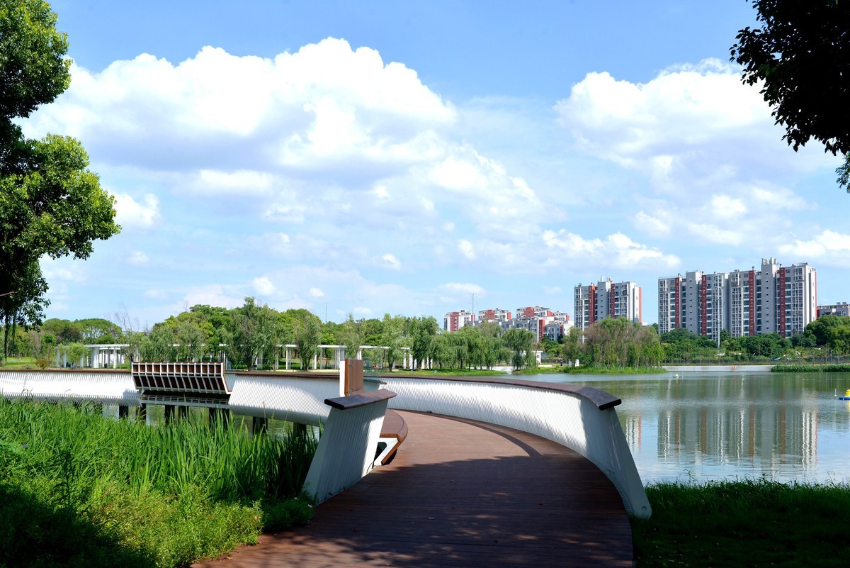 湿地夏景（请假贴）