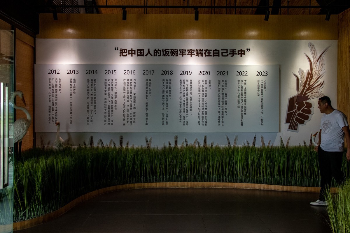 增城丝苗米（一）