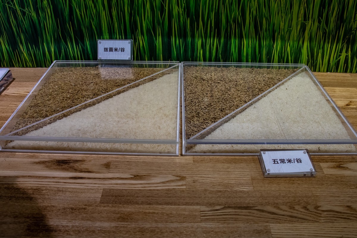 增城丝苗米（一）