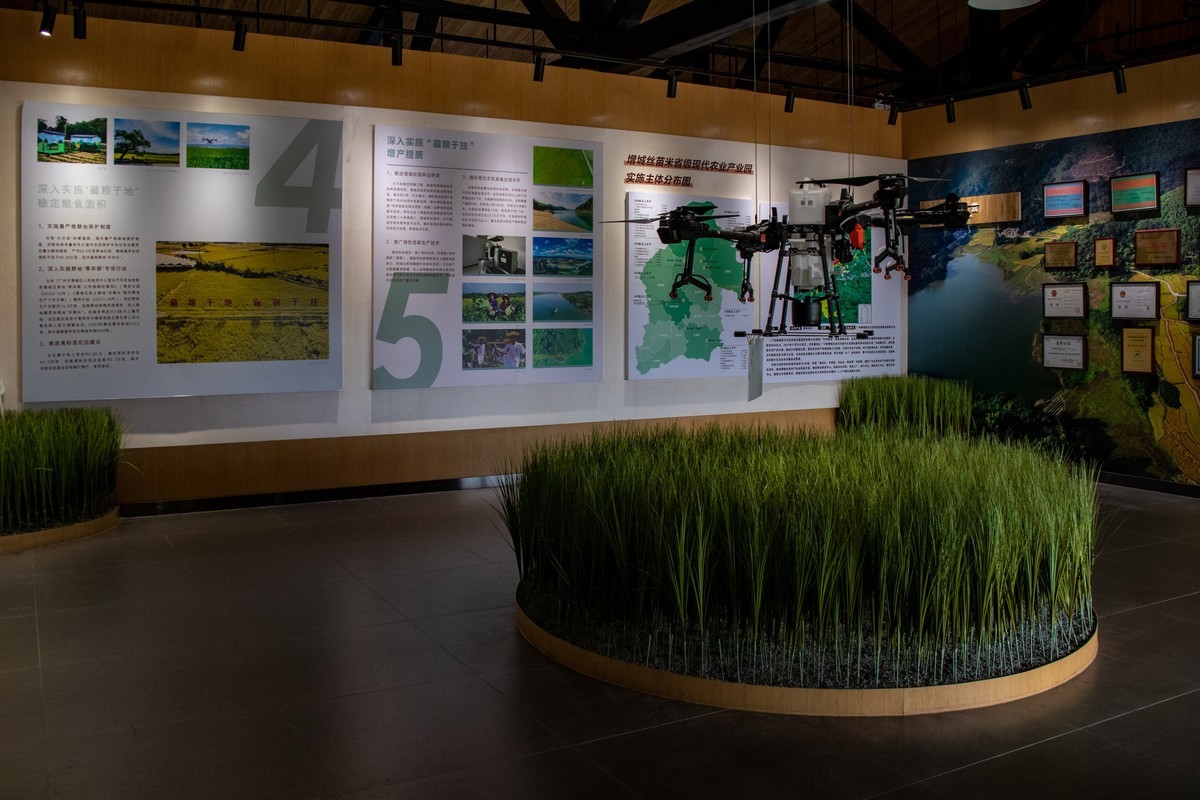 增城丝苗米（一）