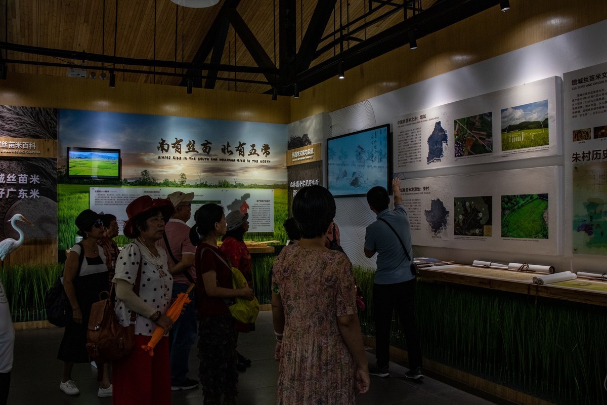 增城丝苗米（一）