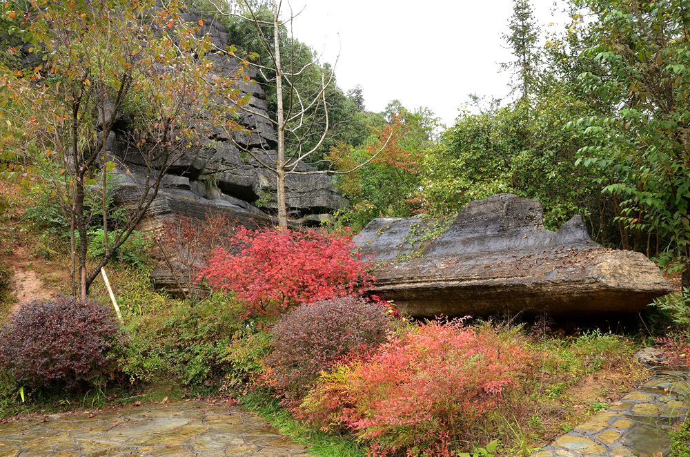 湖北恩施梭布亚石林