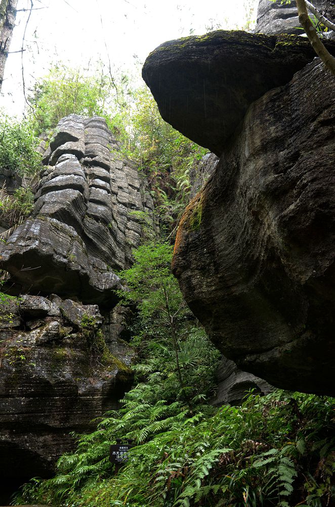 湖北恩施梭布亚石林