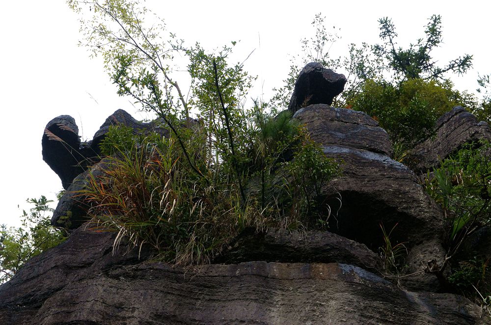 湖北恩施梭布亚石林