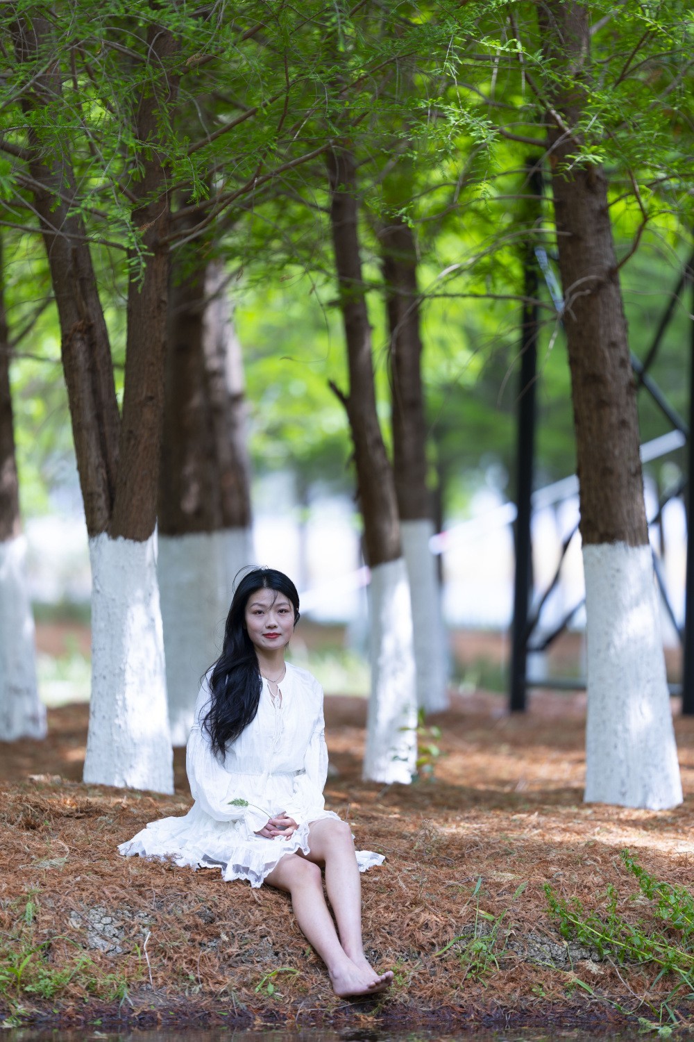 阳光灿烂的一天（贰）