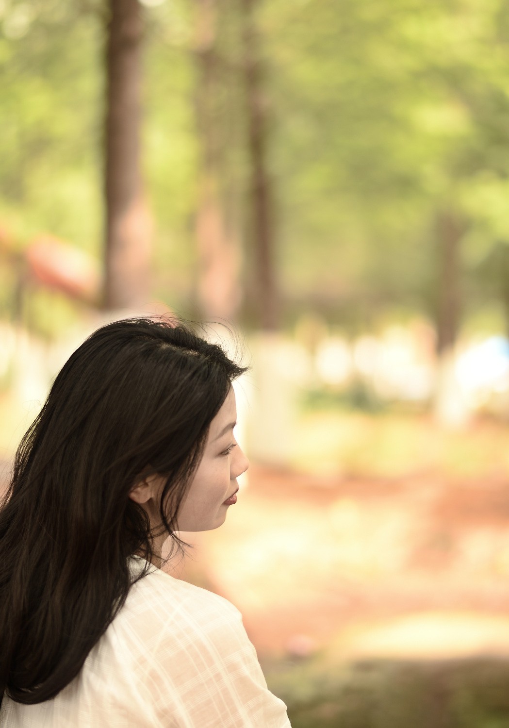 阳光灿烂的一天（贰）