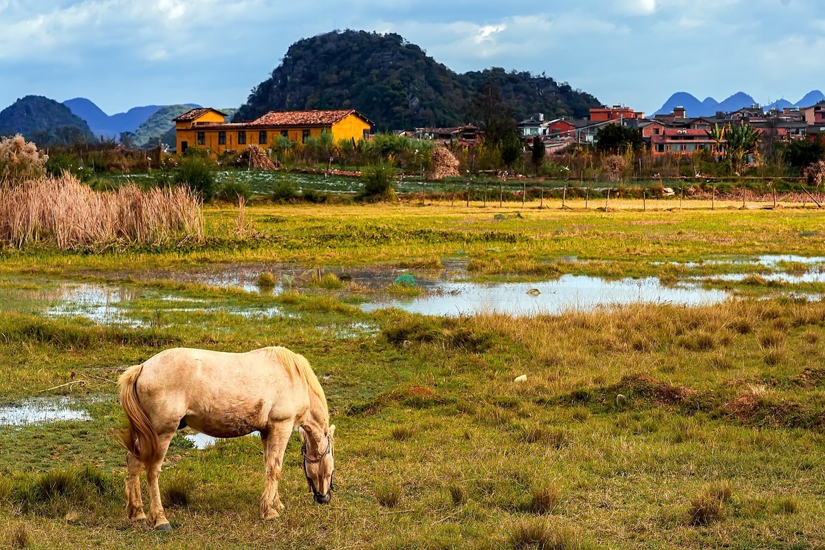 丘北 · 普者黑的田园山水（之八）