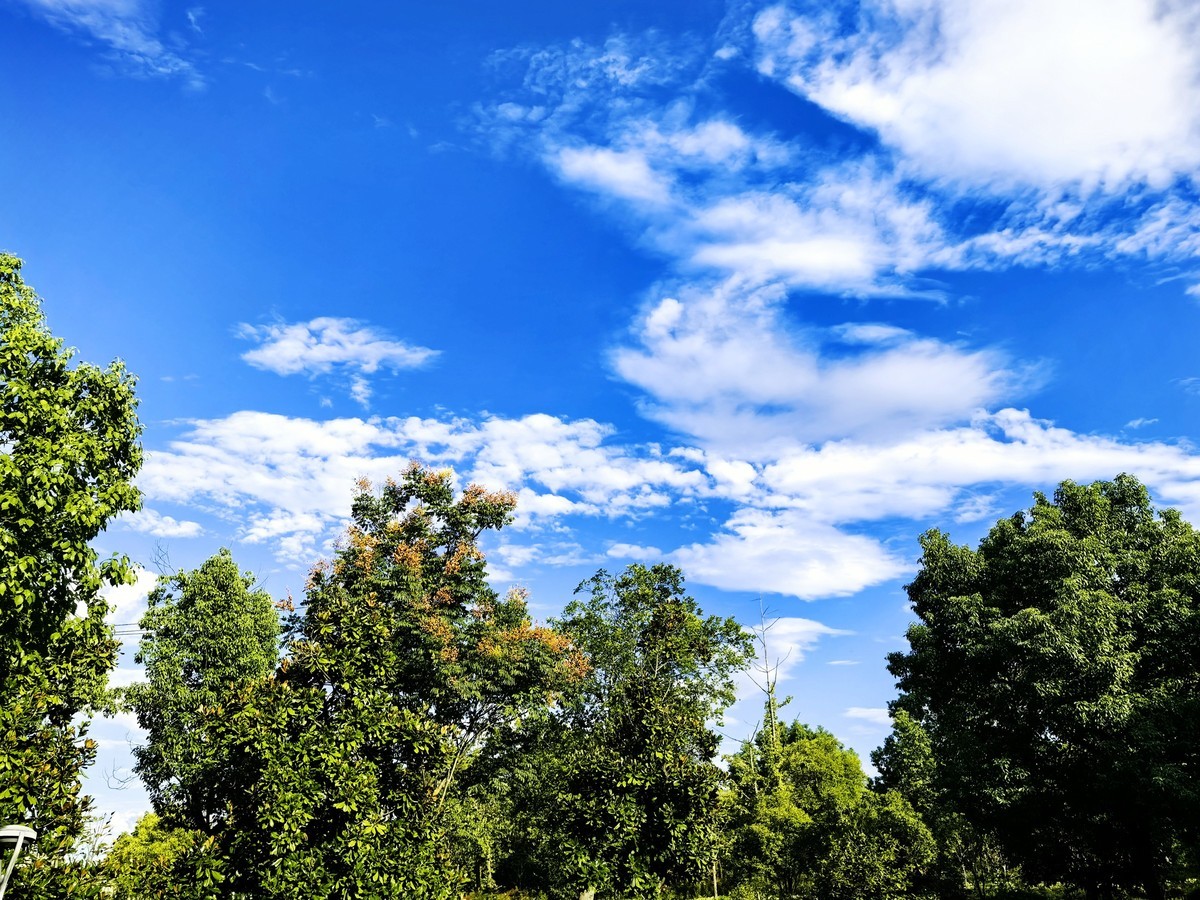 美丽的青岛随拍--华为PURE 70 ULTRE直出五