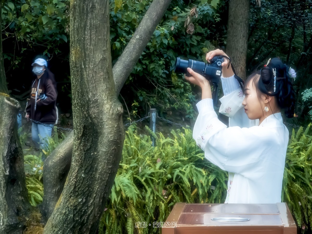 成都 · 棠湖春色