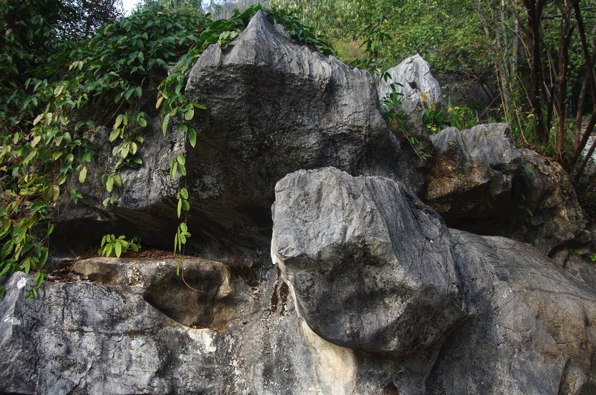 三衢石林风景区游记-5