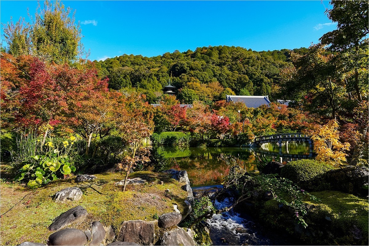 2025年第0004贴-京都永观堂旅拍（0102）