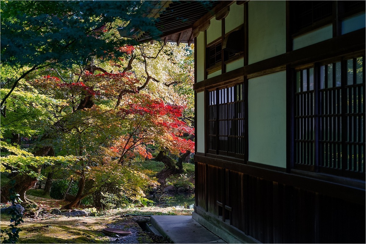 2025年第0004贴-京都永观堂旅拍（0102）