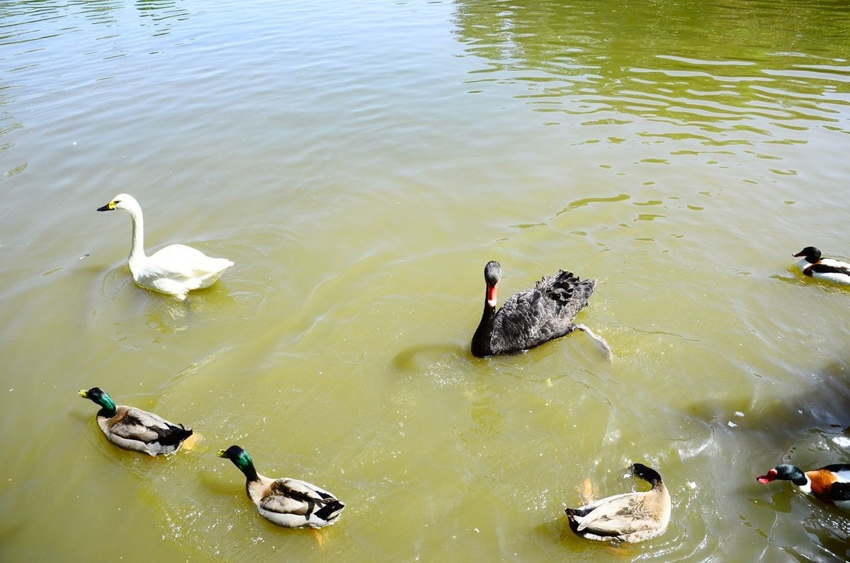 风光美景【3150】