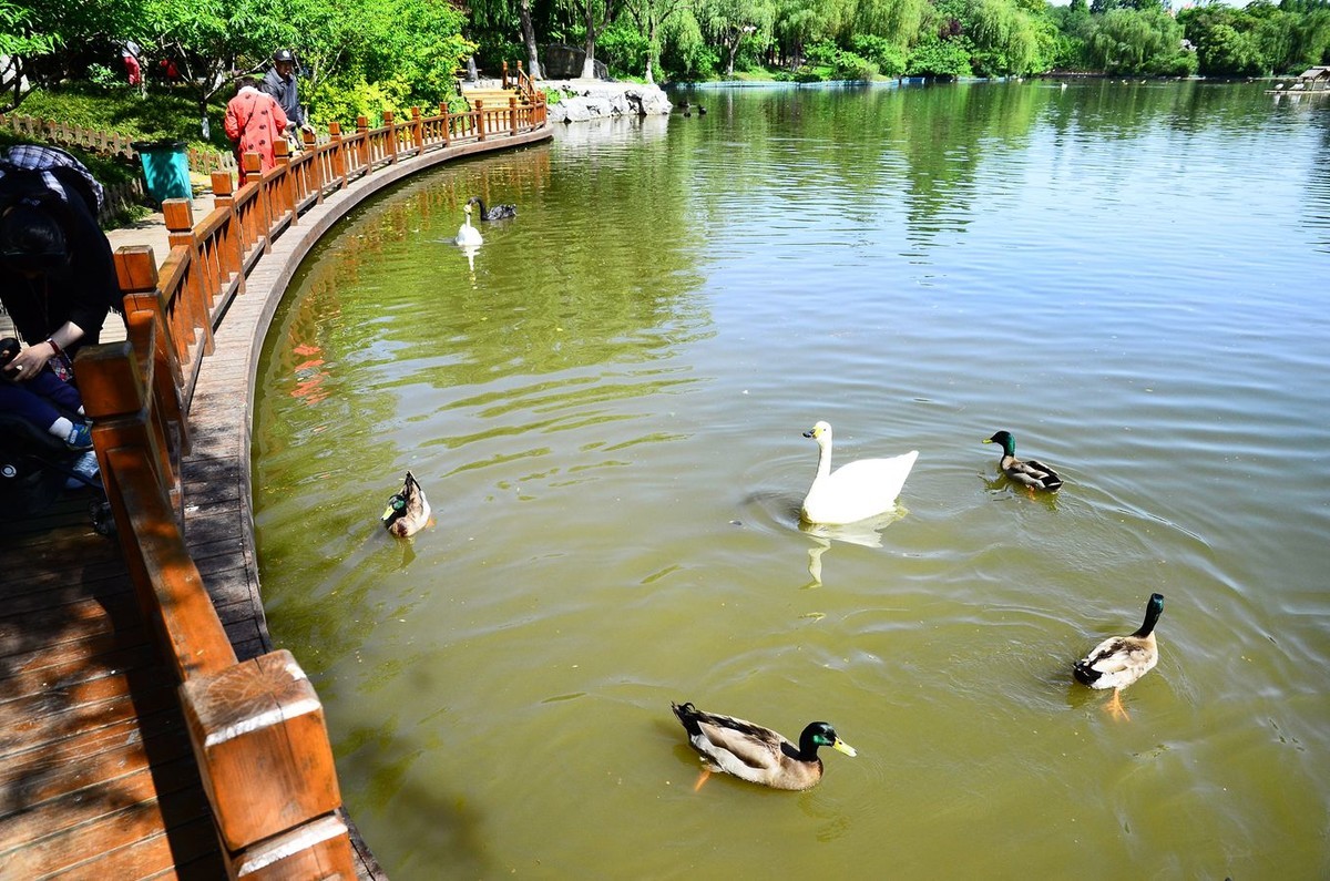 风光美景【3150】