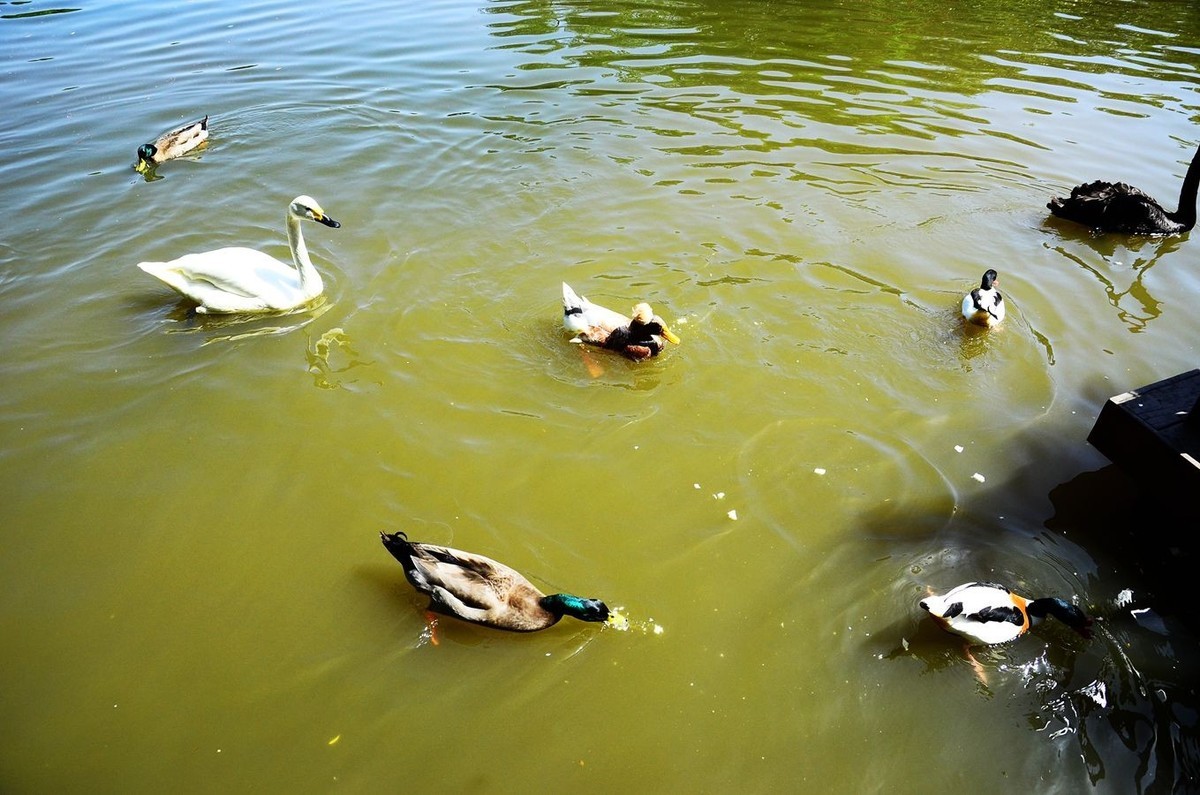 风光美景【3150】