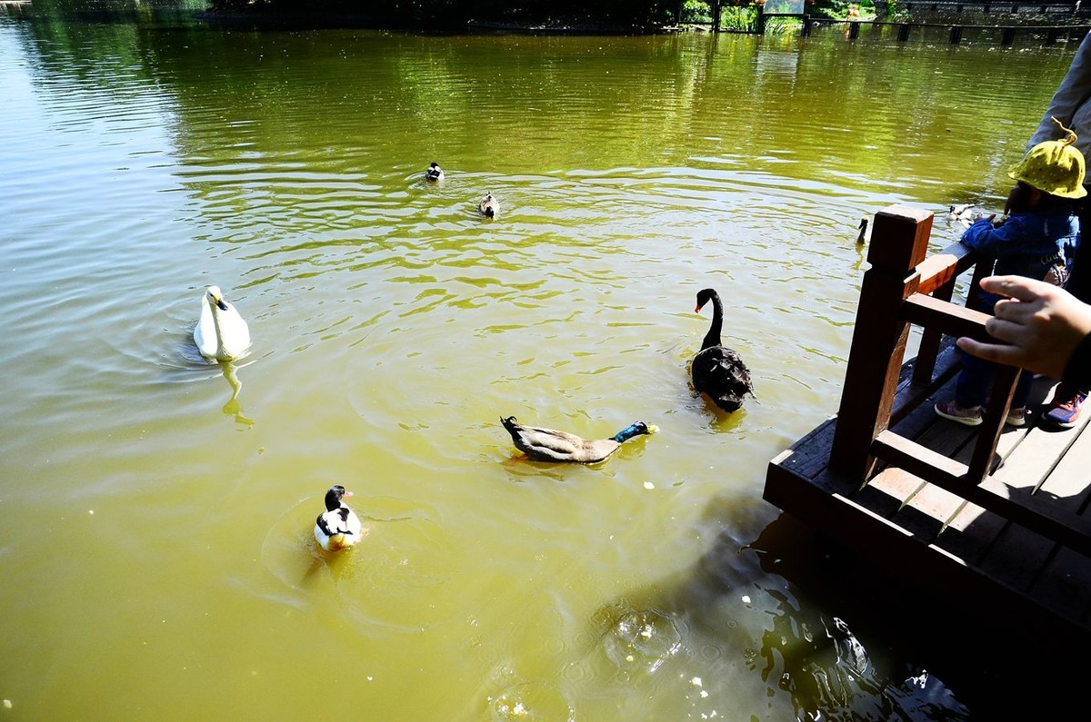 风光美景【3150】