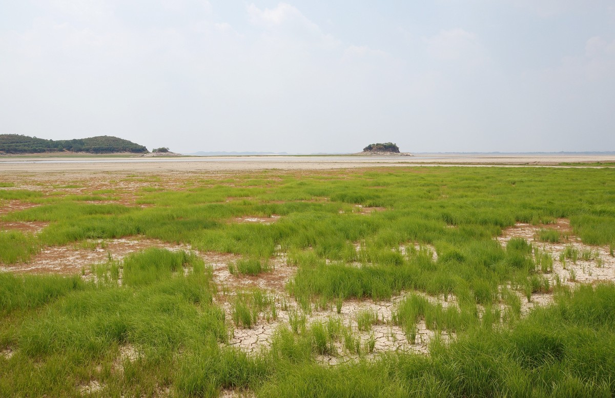 再探鄱阳湖旱情 (9·12 )