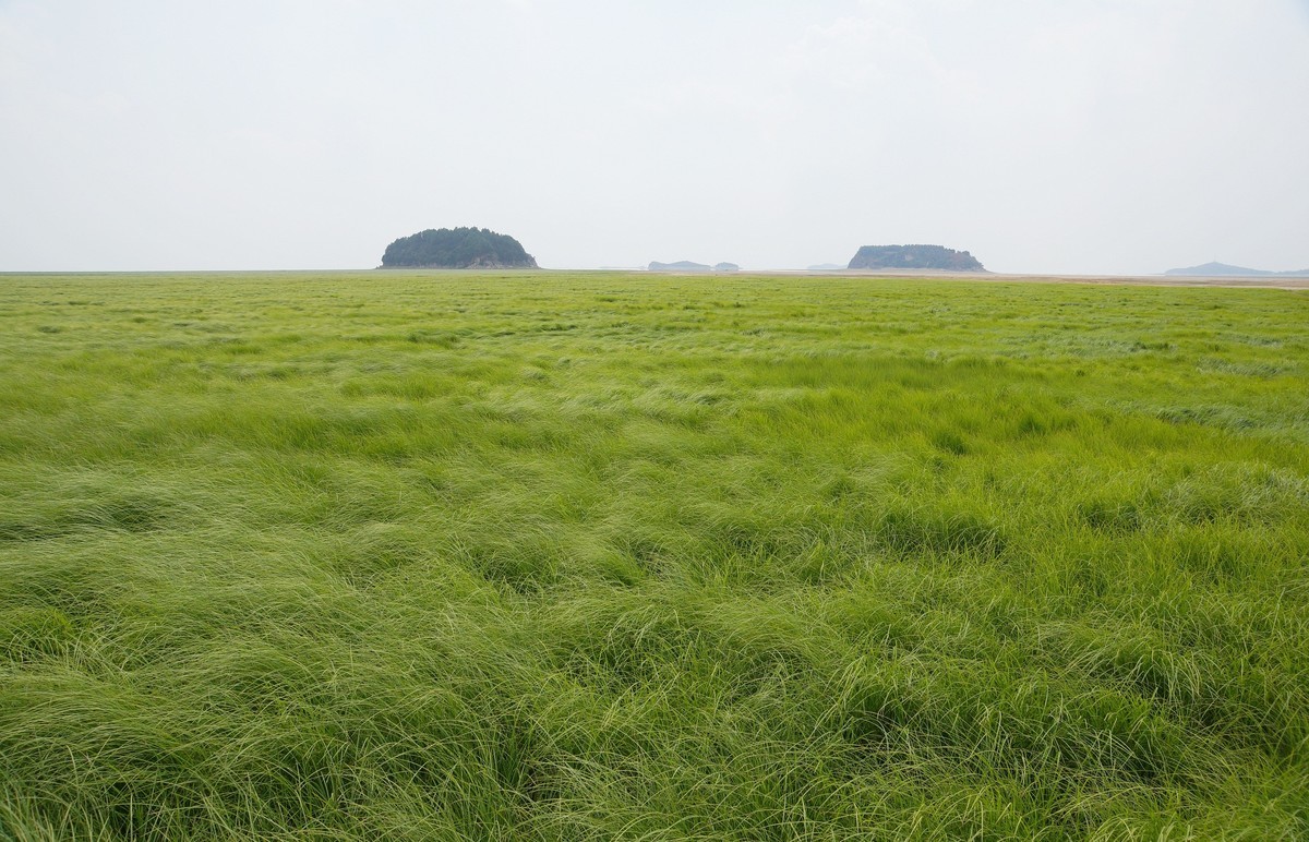 再探鄱阳湖旱情 (9·12 )