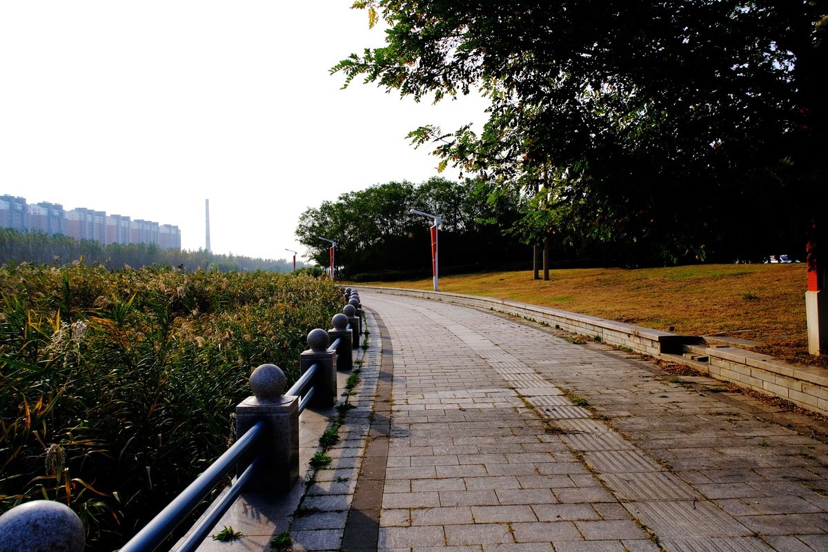 秋意浓，寒意袭，转眼年将尽…