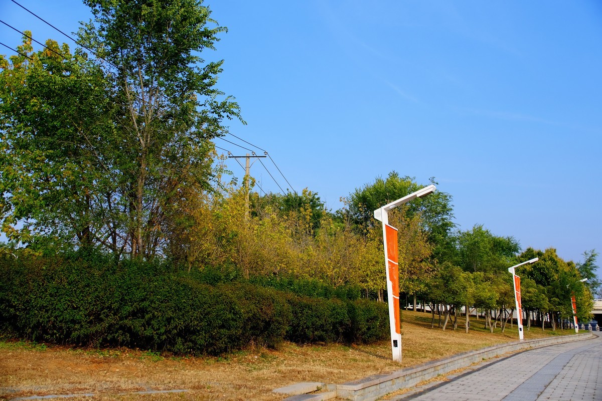 秋意浓，寒意袭，转眼年将尽…