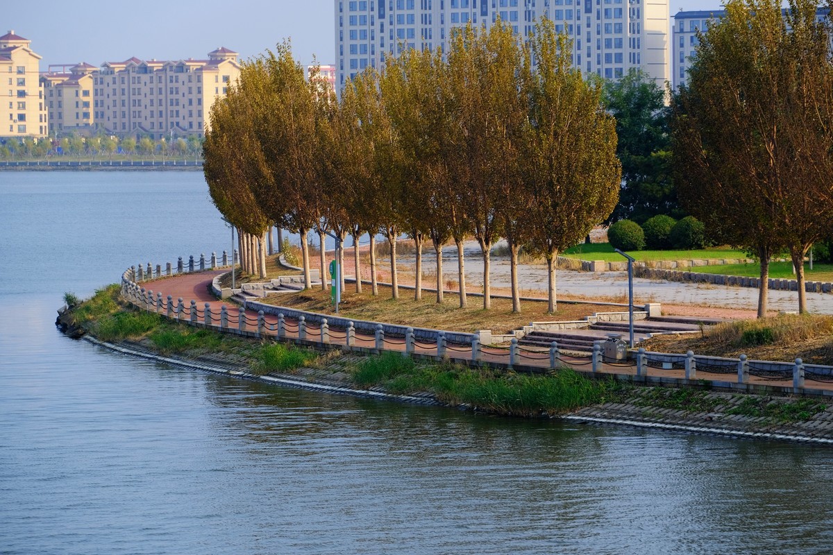 秋意浓，寒意袭，转眼年将尽…