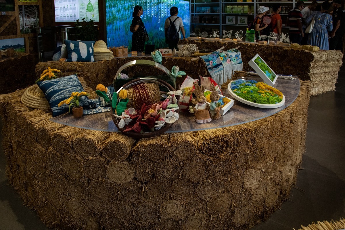 增城丝苗米（三）