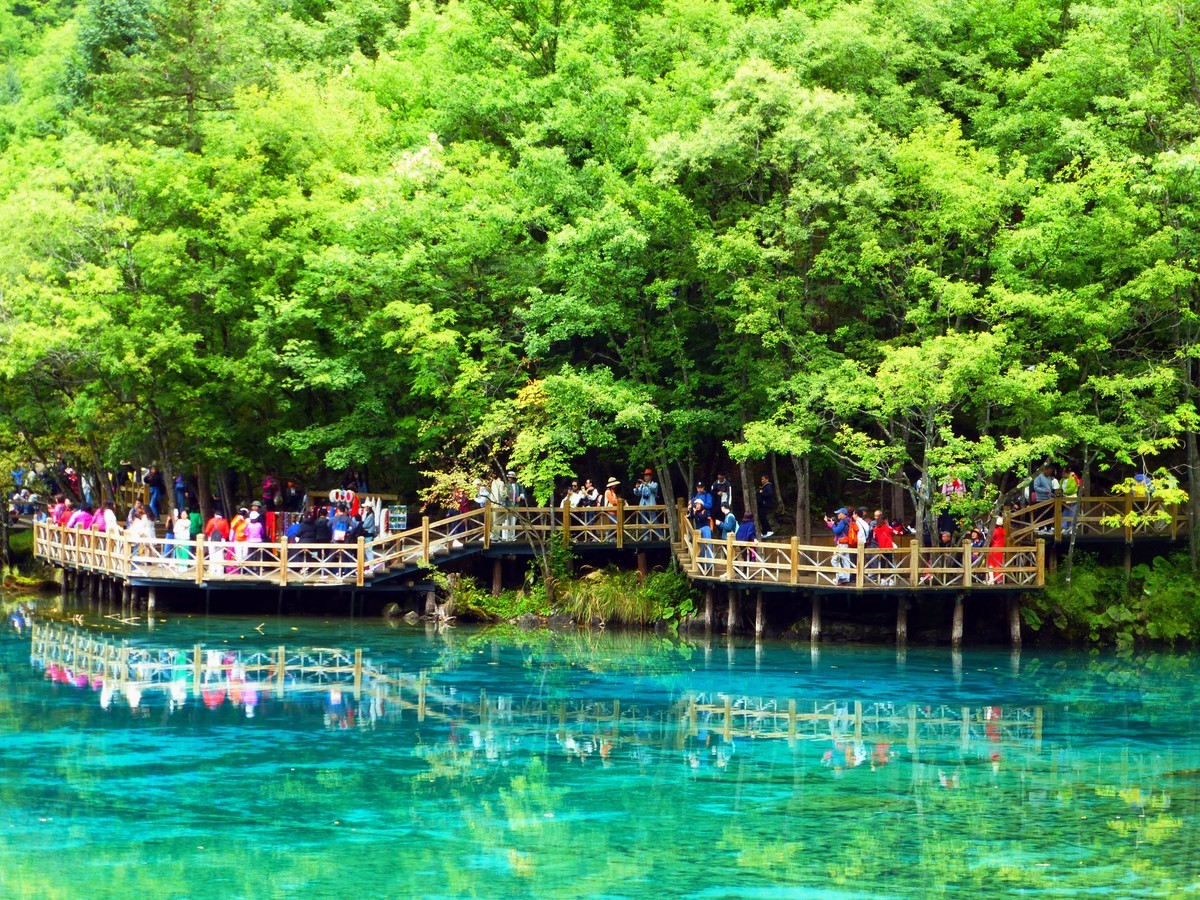 人间仙境 水中贵族---九寨沟（5）