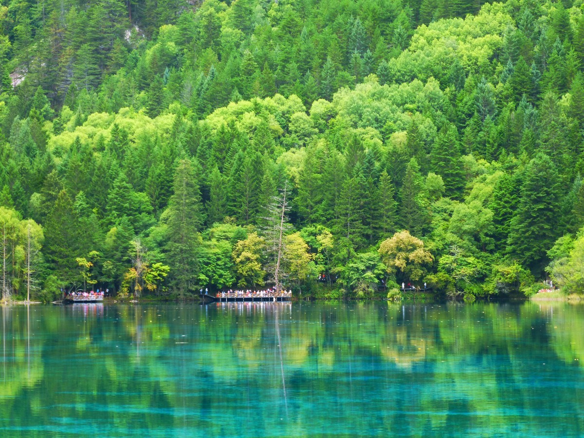 人间仙境 水中贵族---九寨沟（5）