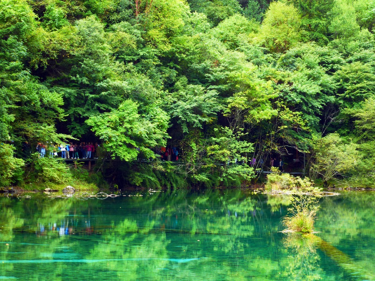 人间仙境 水中贵族---九寨沟（5）