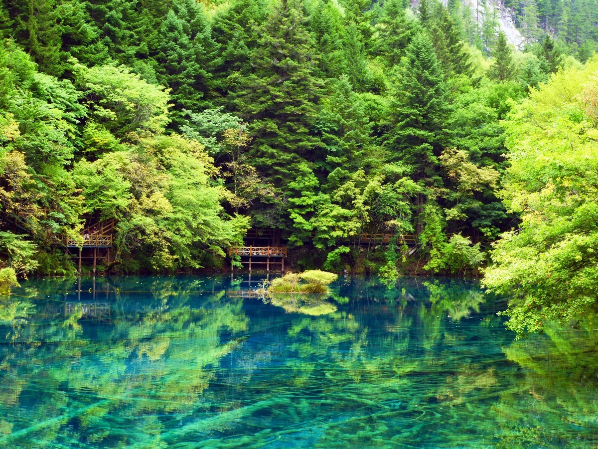 人间仙境 水中贵族---九寨沟（5）