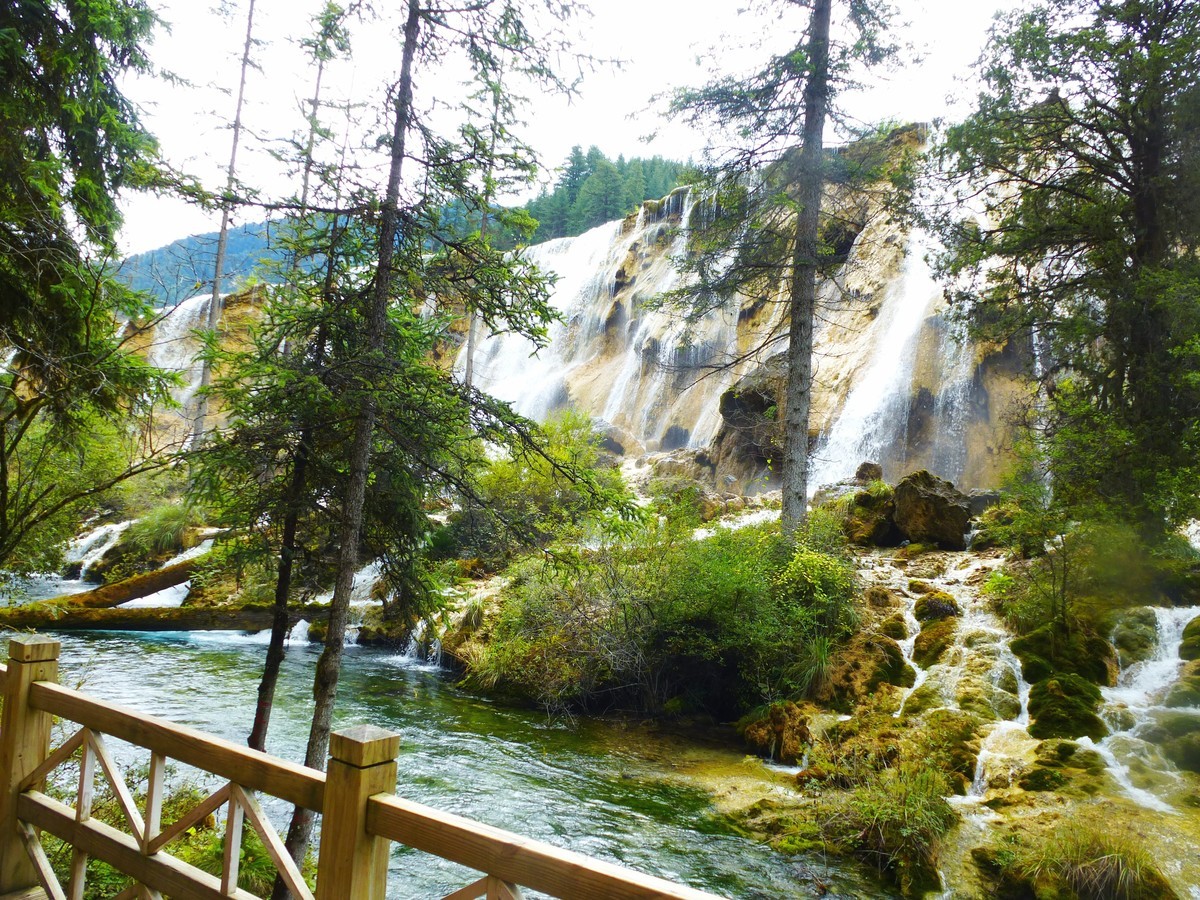 人间仙境 水中贵族---九寨沟（5）