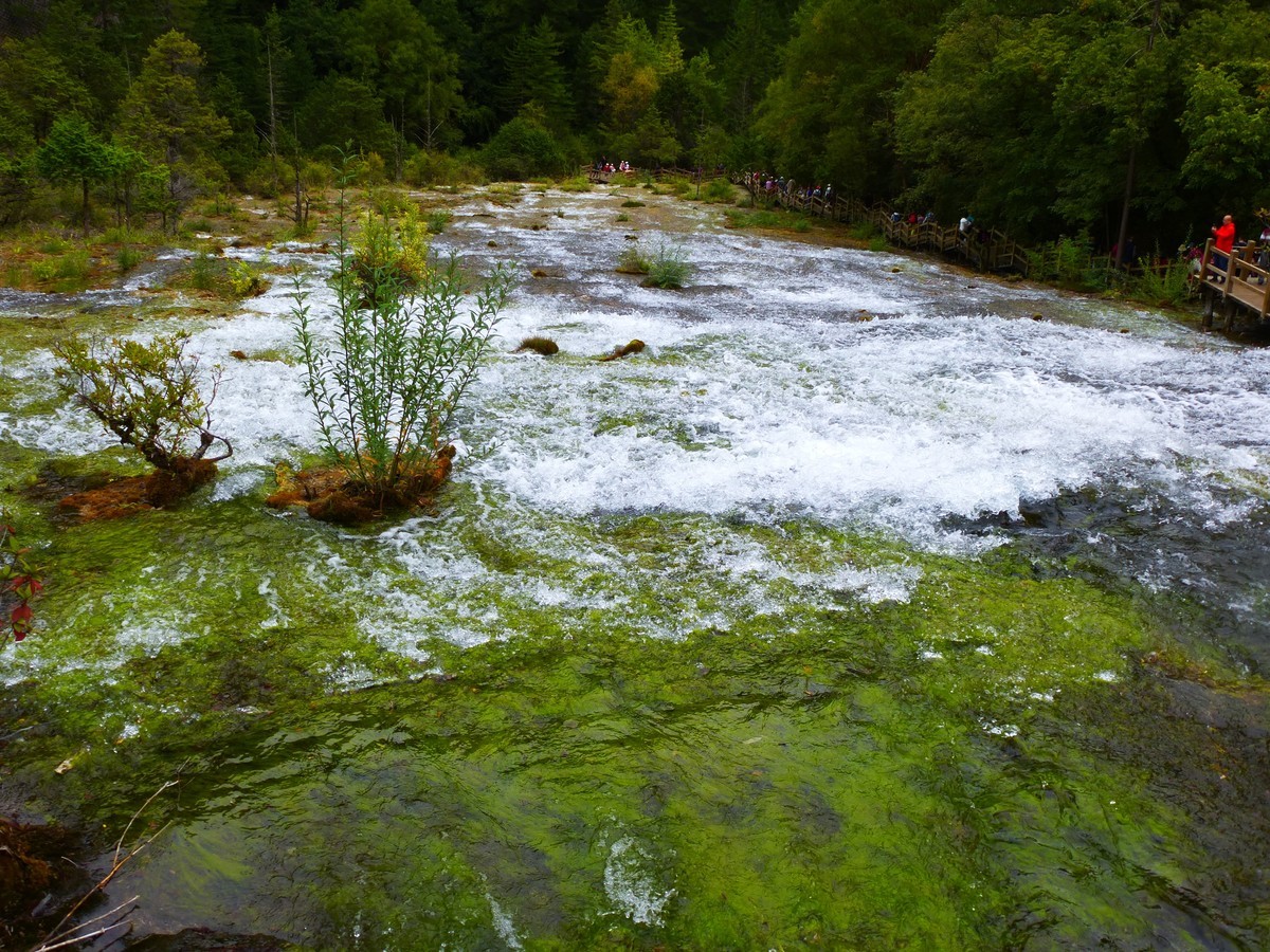 人间仙境 水中贵族---九寨沟（5）