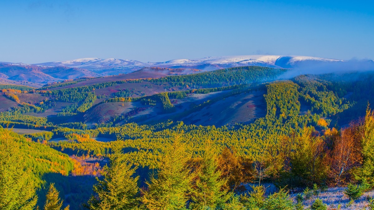 走上高高的大兴安岭