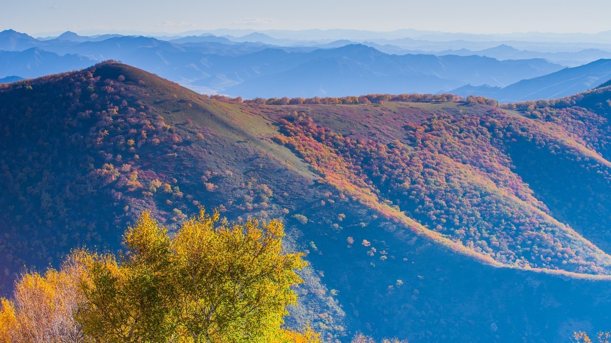 走上高高的大兴安岭