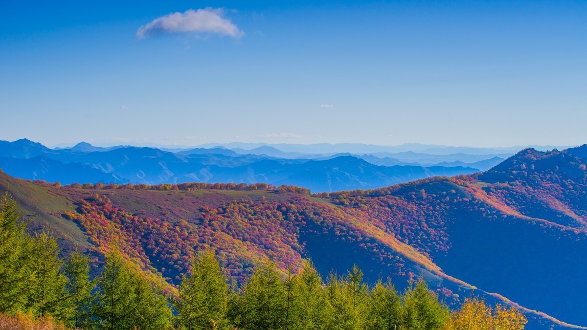 走上高高的大兴安岭