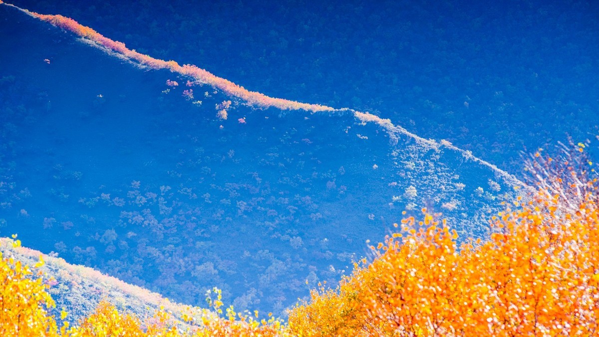 走上高高的大兴安岭