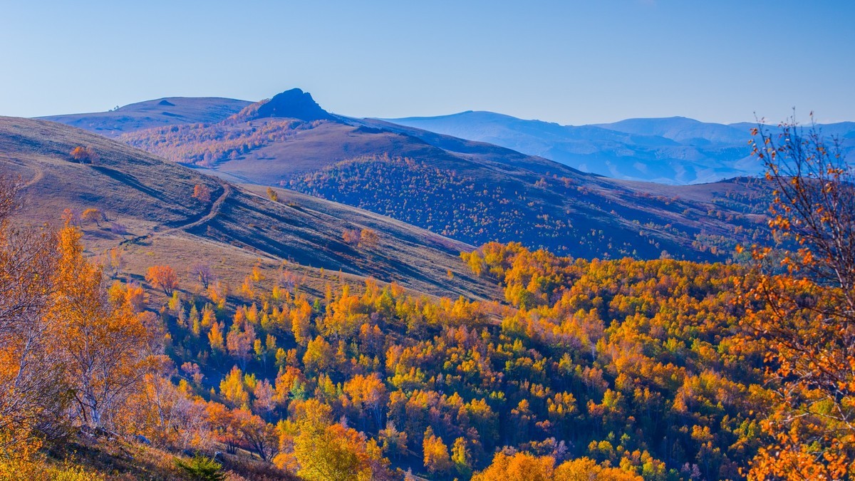 走上高高的大兴安岭
