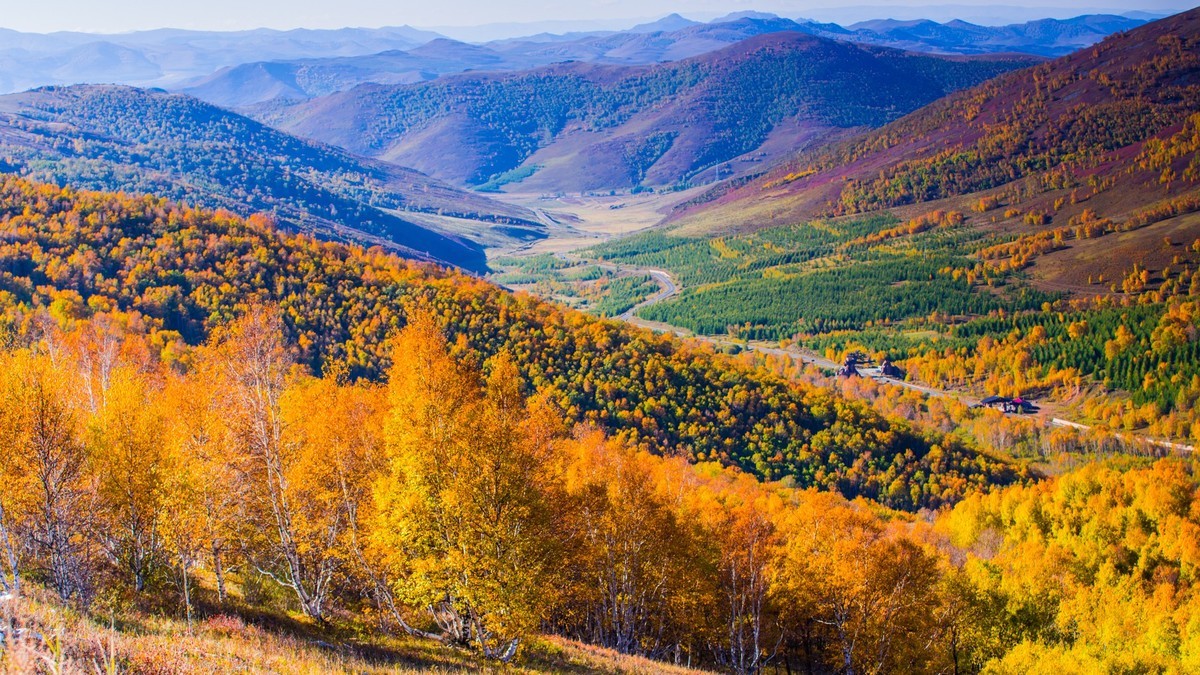 走上高高的大兴安岭