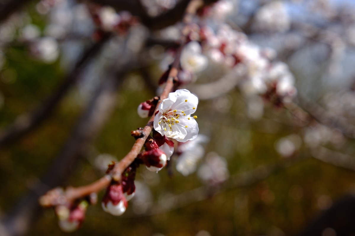 换机器了回来玩玩