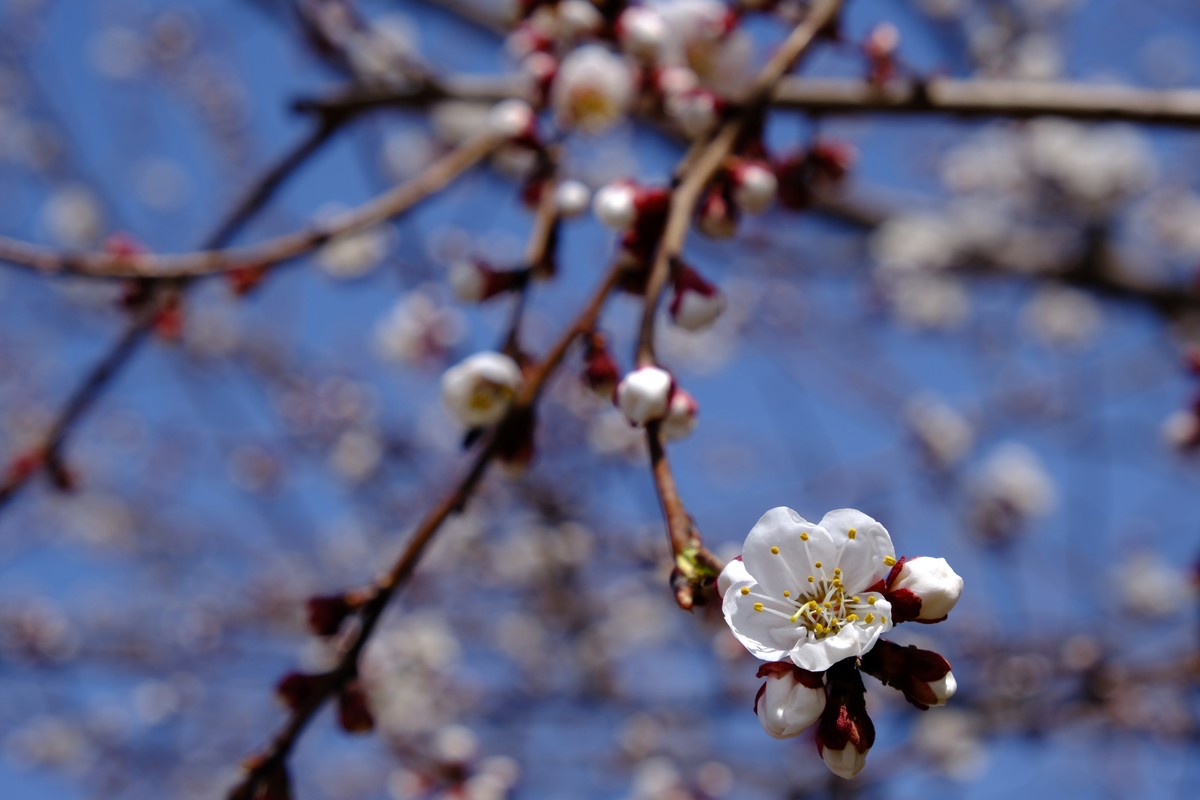 换机器了回来玩玩