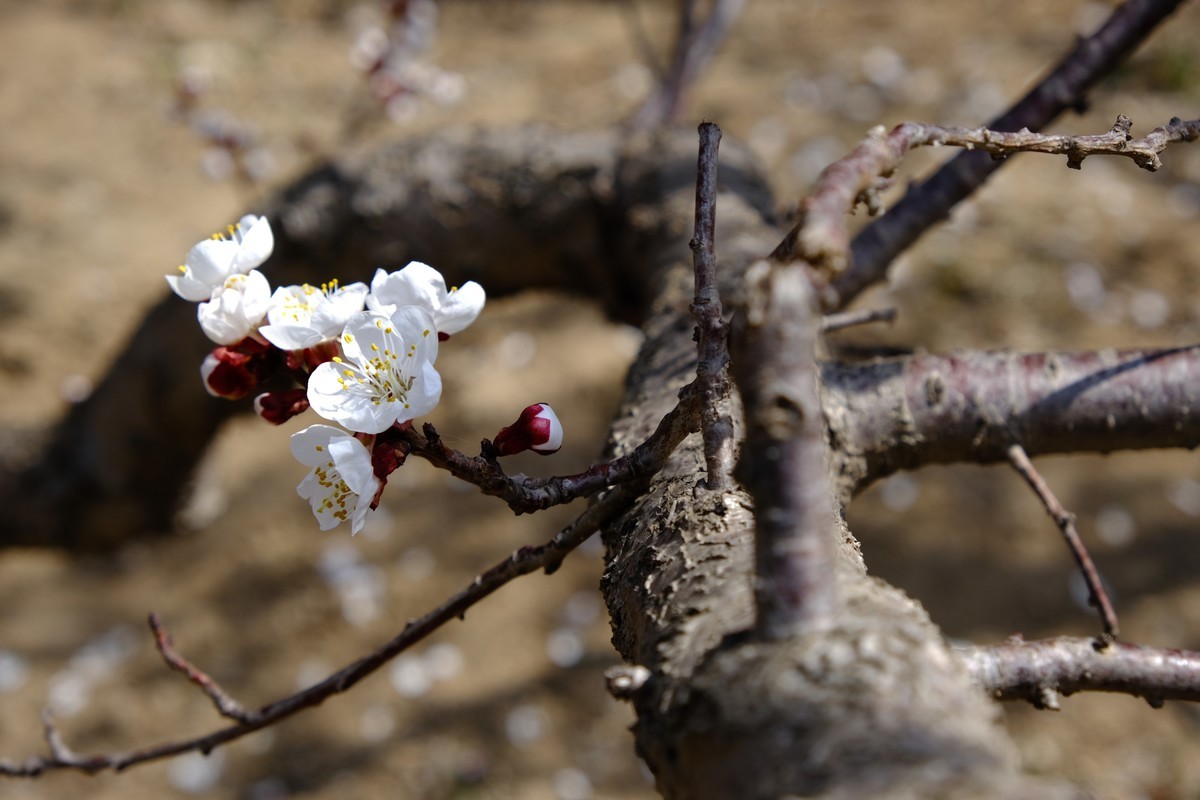 换机器了回来玩玩