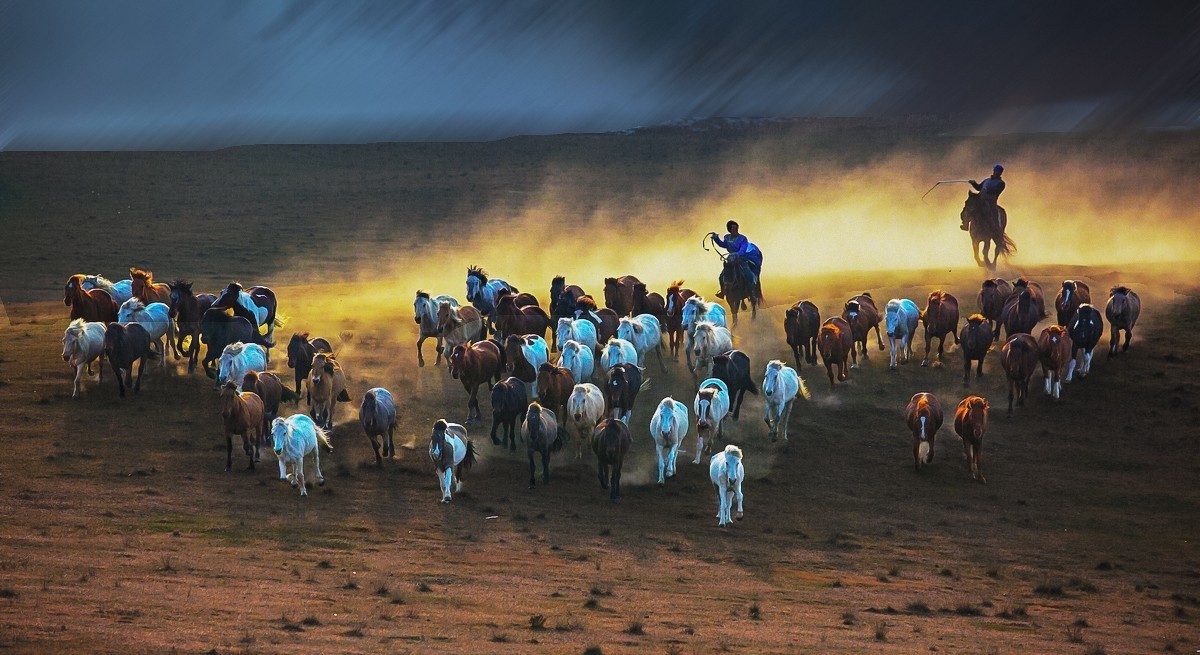 《 骏 马 奔 腾 》