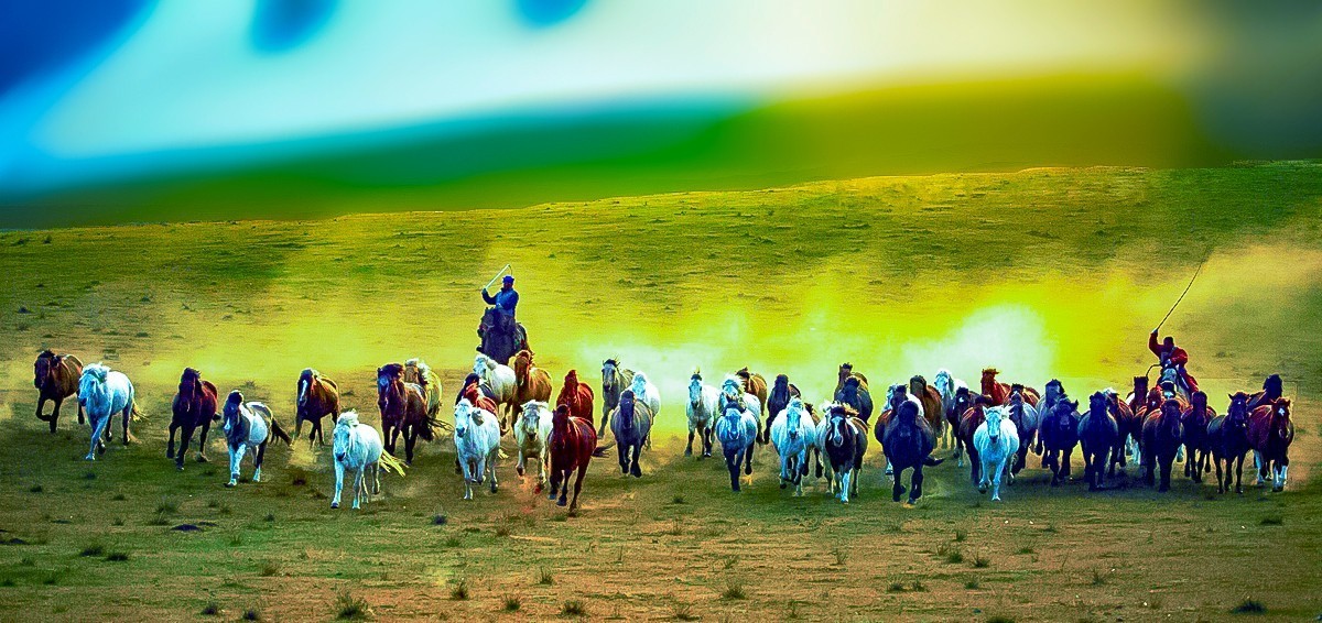 《 骏 马 奔 腾 》