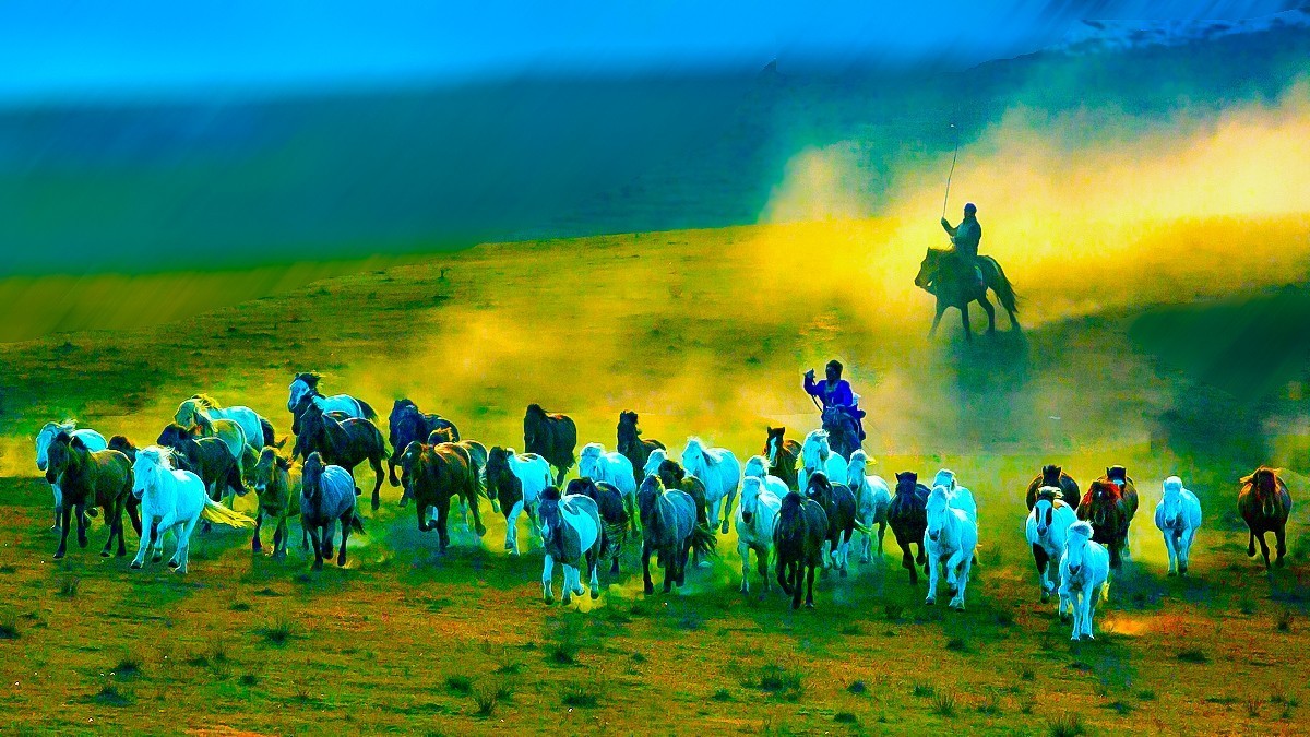 《 骏 马 奔 腾 》