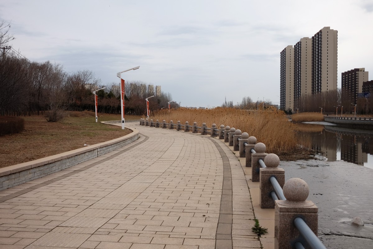 寻找春天的足迹